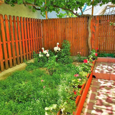 Casa Nelu Pescaru Hotel Махмудия Екстериор снимка