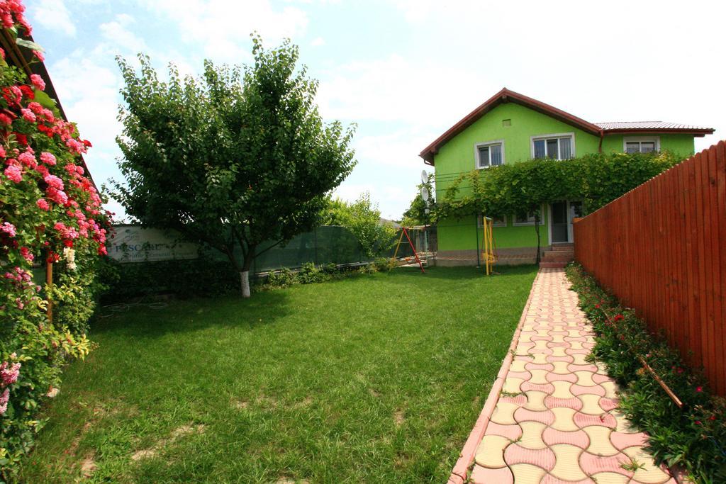Casa Nelu Pescaru Hotel Махмудия Екстериор снимка