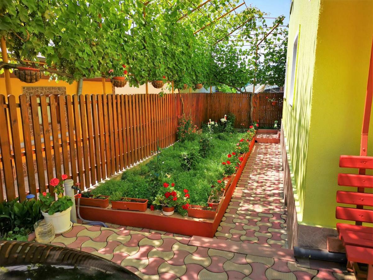 Casa Nelu Pescaru Hotel Махмудия Екстериор снимка