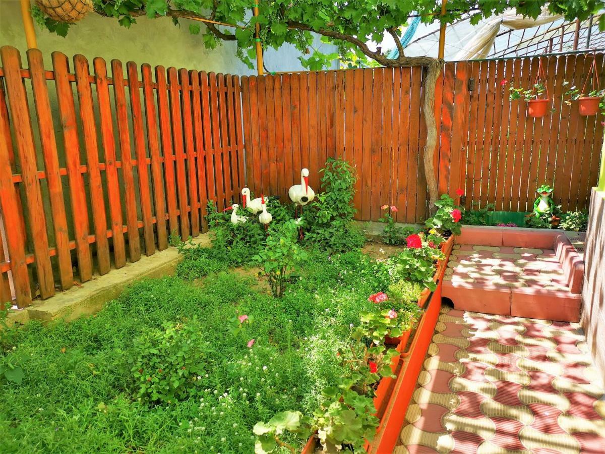 Casa Nelu Pescaru Hotel Махмудия Екстериор снимка